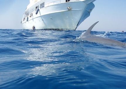 Delfinház hajóval Hurghada
